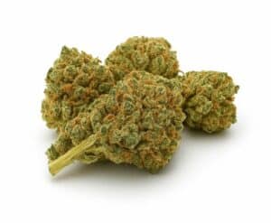 gorrila glue Fleurs 10 OH