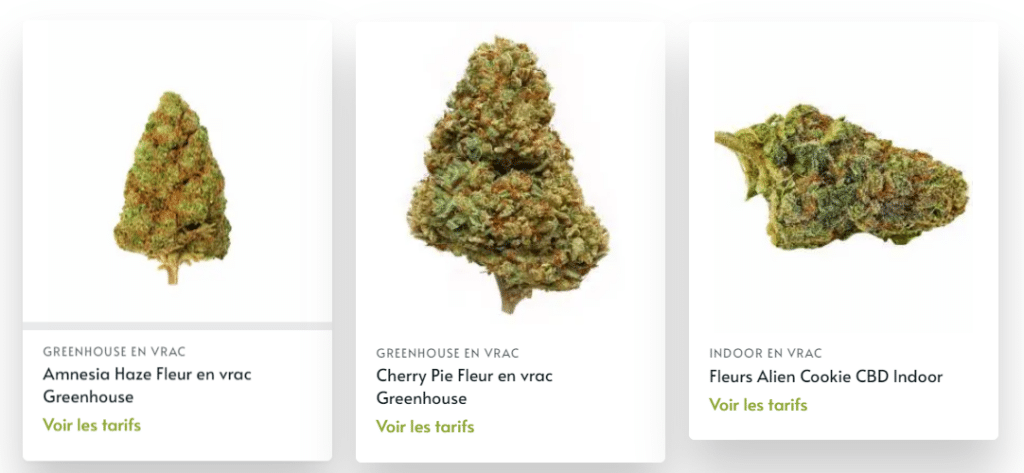 grossiste cbd
