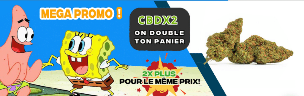 CODE PROMO CBD