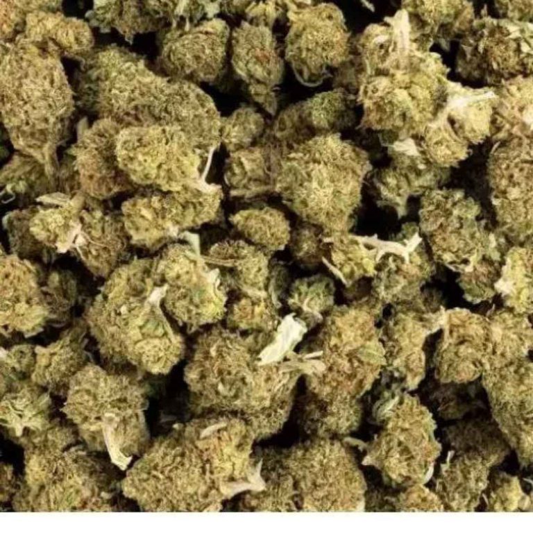 interdiction CBD Italie 2025