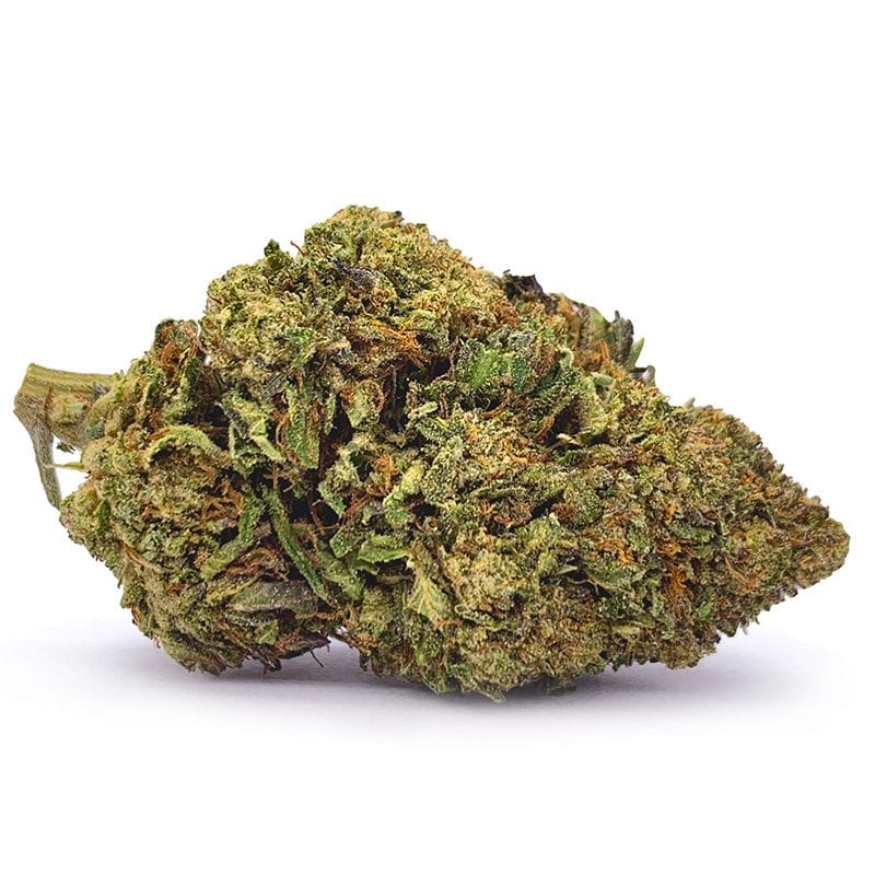 pinaca
