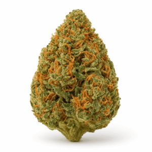 Fleurs Orangello THX+
