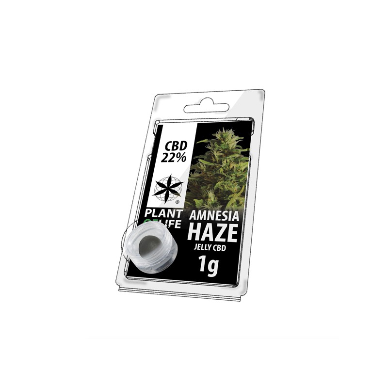 Amnesia Haze — Résine CBD 22 %, 1 g