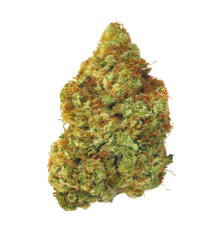 Amnesia Haze Indoor 18%