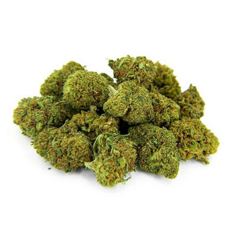 Small buds Amnesia Haze CBD