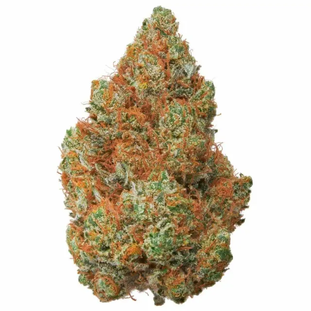 Rollex OG Kush Indoor – Fleurs CBD