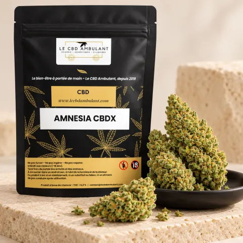 Fleurs Amnesia CBDX
