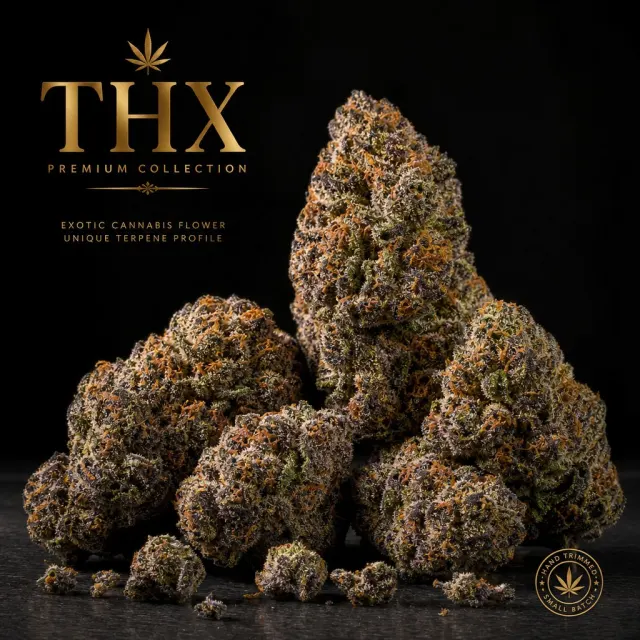 THX Collection — Alpha