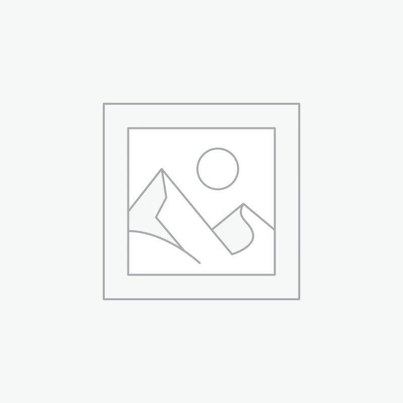 Bonbons Delta-9 Orange Dream – Veed