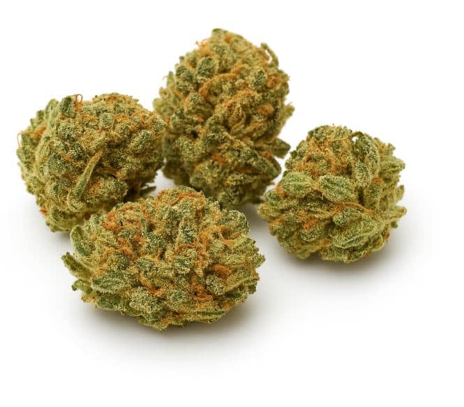 Red Berry Fleurs CBD