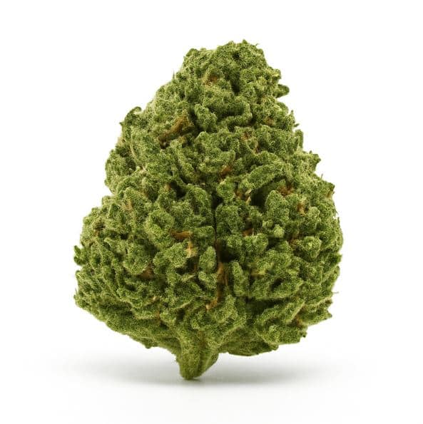 fleurs cbd magic alien thx+