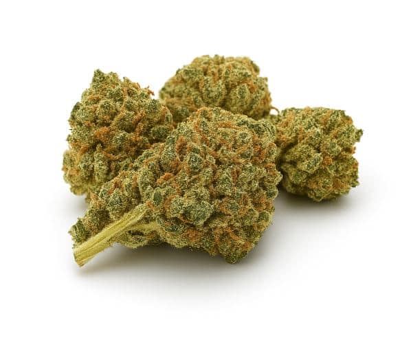 gorrila glue Fleurs 10 OH